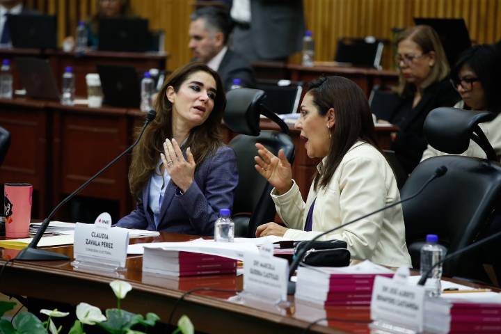 Nuevo cisma en el INE: partidos acusan “cuotas” en designación de 17 Oples