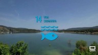 Sacedón, 14º objetivo de desarrollo sostenible: vida submarina
