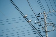 Data Centers Demand More of Georgia’s Electric Resources
