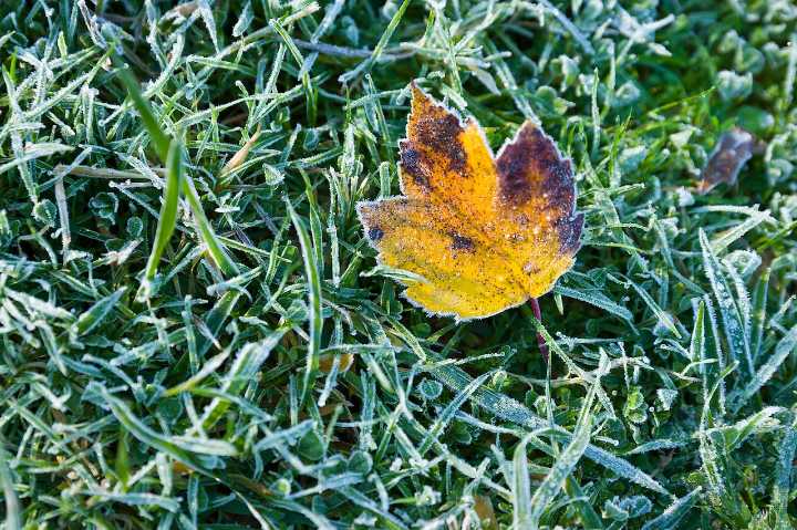 Chilly, overcast Thursday sets stage for Mass. weekend cold snap