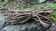 Would A DIY Garden Bed From Sticks Actually Work?