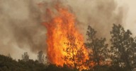 Climate disaster database backed by non-profit after Trump administration shuts it down