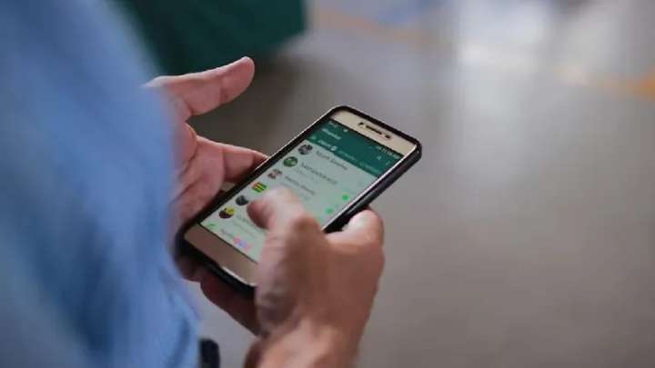 Elecciones legislativas: cómo consultar dónde voto por WhatsApp