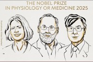 El premio Nobel de Medicina fue para descubrimientos sobre tolerancia comunitaria periférica