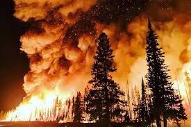 Florida man arrested in connection with massive Palisades Fire