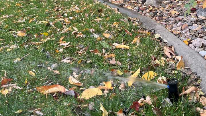 Top tips to prepare your Colorado fall lawn, garden, trees for winter