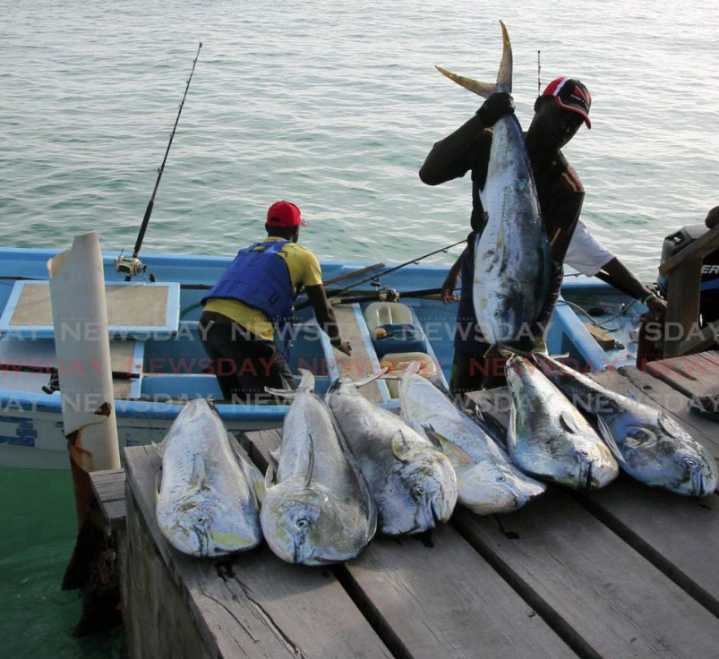 En medio del enfrentamiento entre Estados Unidos y Venezuela, los pescadores de Trinidad y Tobago temen por sus vidas y sus empleos