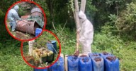 Químicos para drogas sintéticas: destruyen tres centros de almacenamiento en Culiacán