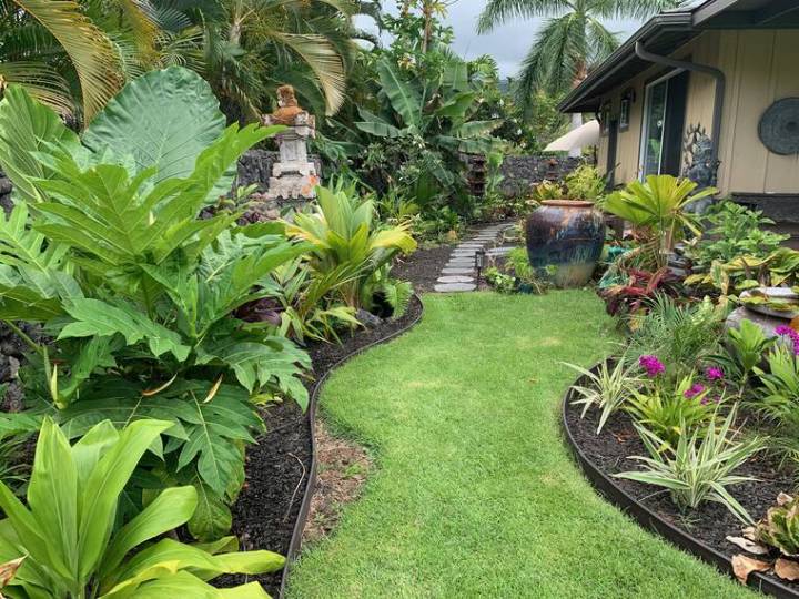 Tropical Gardening: Fall fertilization is important now