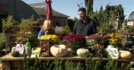 In the Garden: Fall Gardening Tips