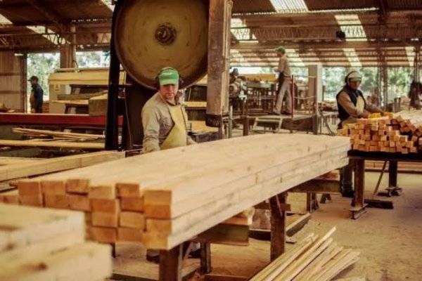 CORRIENTES! Forestal Tapebicuá empezó a funcionar después de dos meses de paralización