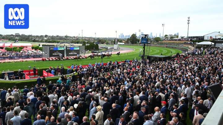 Cox Plate 2025: Via Sistina beats Buckaroo becoming first horse since Winx to win in consecutive years