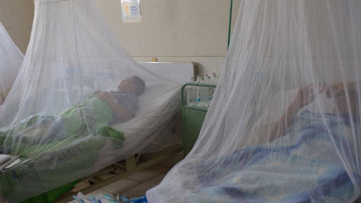 Suman 150 casos de dengue y una defunción