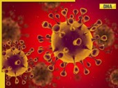Viral outbreak causes seven deaths within 20 days in Almora district, typhoid de