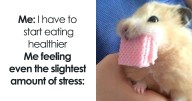 64 Hilarious And Relatable Memes To Take Your Mind Off How Much Work You Have To Do (New Pics)