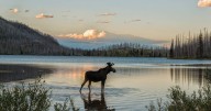 Why mountain resort Big Sky Montana is trending in 2026
