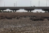 2025 floods have altered the very ‘foundation’ of Punjab’s agriculture: its soil structure