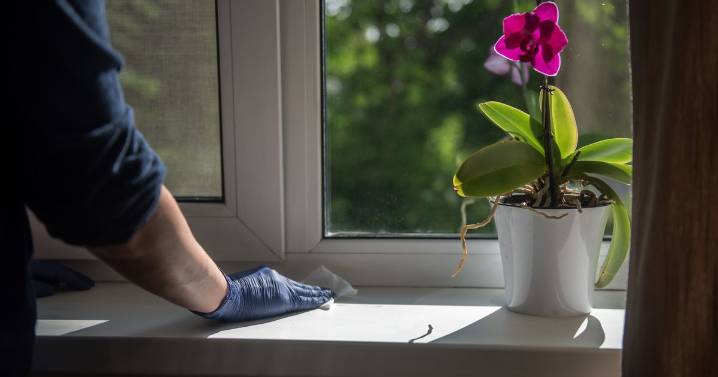 UK households told to spray window ledges and door frames with vinegar this October