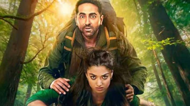 Thamma Box Office Day 6: Ayushmann-Rashmika Mandanna Film Continues Solid Run, Inches Toward Rs 100 cr