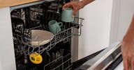 Seven everyday items you can clean in your dishwasher