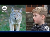 Coyote attacks 9-year-old playing hide