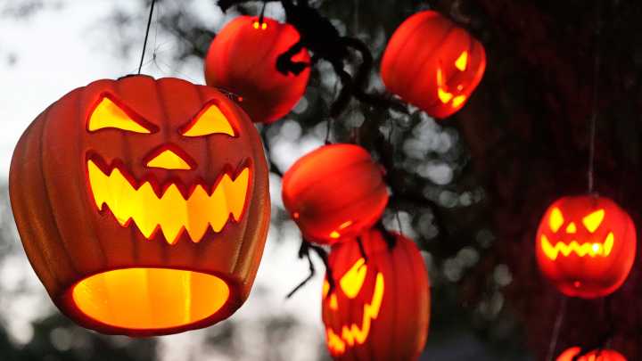 Here are the Best Bets for entertainment this weekend in Ocala/Marion