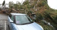 Thousands lose power as wild winds batter New Zealand