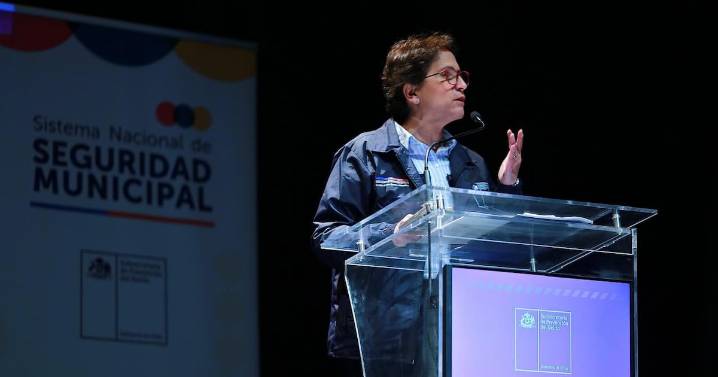 Faltan cuatro indicaciones por aprobar: proyecto de ley de Seguridad Municipal sigue en debate en comisión del Senado