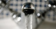 Case of cholera confirmed in part of Nottinghamshire in the last 10 months