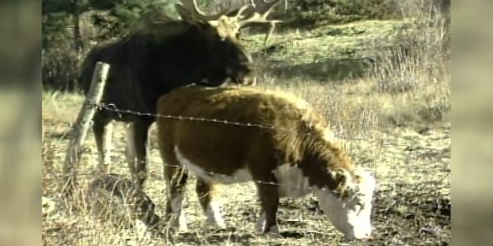This Day in History: October 24, 1986