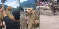 Habitantes de Zontecomatlán rescatan a un perro durante inundaciones en Veracruz