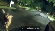 Rescued Dog Becomes the Rescuer: Family Pup Saved from Shelter Guides Officer to Missing Grandmother