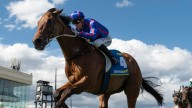 Globe becomes second high profile runner scratched from Cox Plate following vet assessment