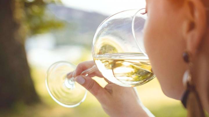 El paradisíaco viaje en tren desde Santiago que te permite conocer los sabores de los viñedos del Maule