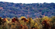 The perfect leaf peeping trip near St. Louis