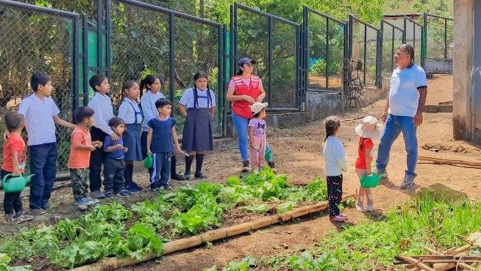 Califican de exitosa la implementación de biohuertos escolares en Piura