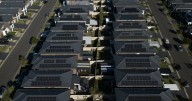 Minister plays deal or no deal on environment overhaul