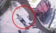 Comas: delincuente asesina a perro que defendió a su dueño de un asalto