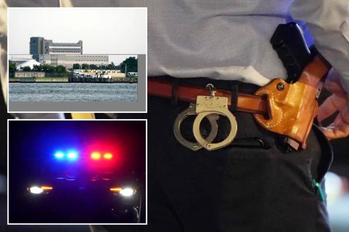 Exclusive | Serial burglar exploited NY's lax bail laws in theft wave