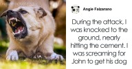 Hey Pandas, Knocked Down By A Neighbor’s Dog And Falsely Accused, How Should I Protect Myself?