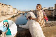 Italy travel hub now charges tourist dogs a daily fee