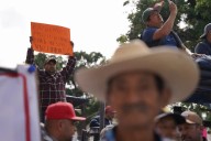 Seder acuerda precio de 6,050 pesos por tonelada de maíz para productores del Bajío