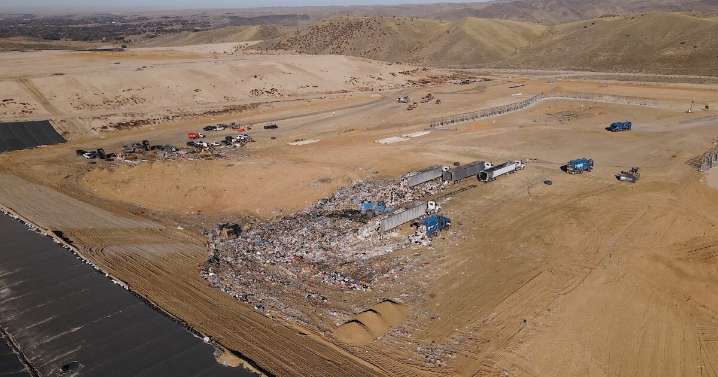 How Ada County decided to combat pesky seagulls at the landfill