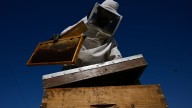From rooftops to honey jars, Athens is abuzz with urban beekeeping