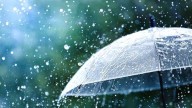 Kerala to receive heavy rain for four more days; yellow alert issued today for nine districts