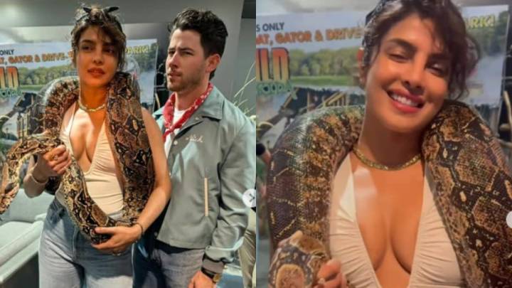 Priyanka Chopra Cradles Massive Snake Around Her Neck, Nick Jonas Looks Concerned