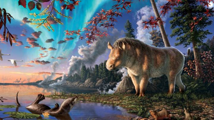 Meet the Weirdly Wonderful 'Frosty' Rhino That Once Roamed the Canadian Arctic