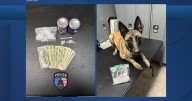 Traffic stop in North Corbin leads to major drug bust with meth, heroin, fentanyl seized