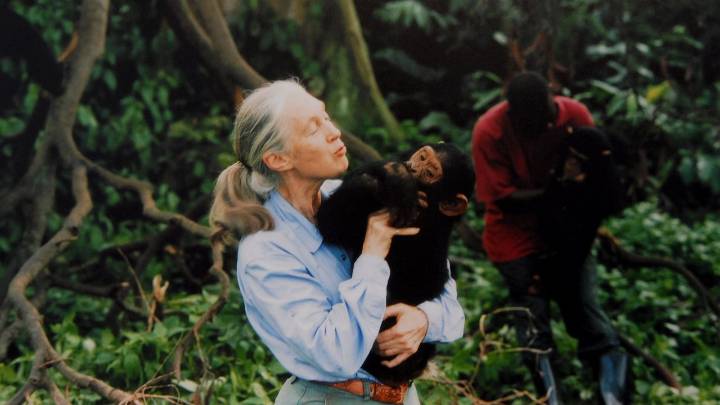 Jane Goodall’s Cause of Death Revealed
