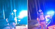 Donald Trump and White House Busted Using Florida DHS Palm Tree Footage to Show ‘Chaos’ in Chicago